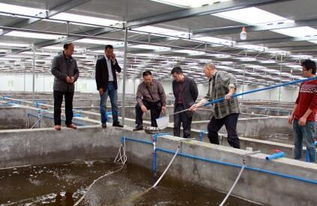 科技賦能 生態(tài)融合 重慶長(zhǎng)壽工廠化養(yǎng)魚(yú)模式對(duì)涪陵漁業(yè)發(fā)展的啟示